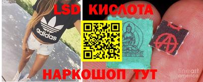 прущие грибы Рузаевка